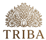 screenshot 2026 04 07 224836 removebg preview